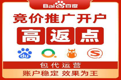 电商平台的关键词竞价排名：销售增长的秘诀